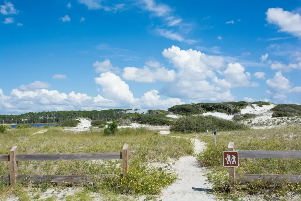 grayton-beach-state-park-dune-trail-30a - Living on 30A Florida Hiking trail through coastal dunes at Grayton Beach State Park along 30A